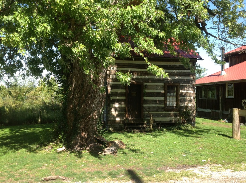 Rabbit_Hash_2012_4.jpg