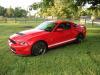 Michael Vaughn's 2012 GT500